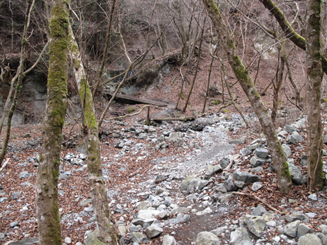 20160204hike (62)